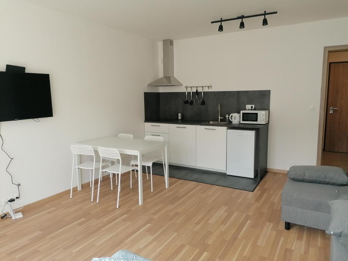 Brand New Studio Apartment #21 With Free Secure Parking In The Center Praga Exterior foto