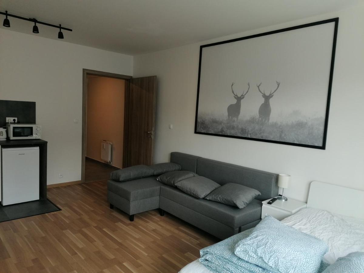 Brand New Studio Apartment #21 With Free Secure Parking In The Center Praga Exterior foto